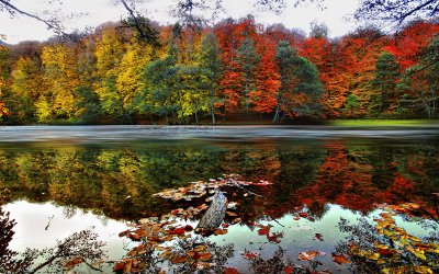 Gölcük ve Yedigöller Turu